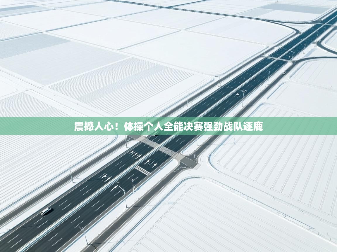 震撼人心!体操个人全能决赛强劲战队逐鹿 第1张