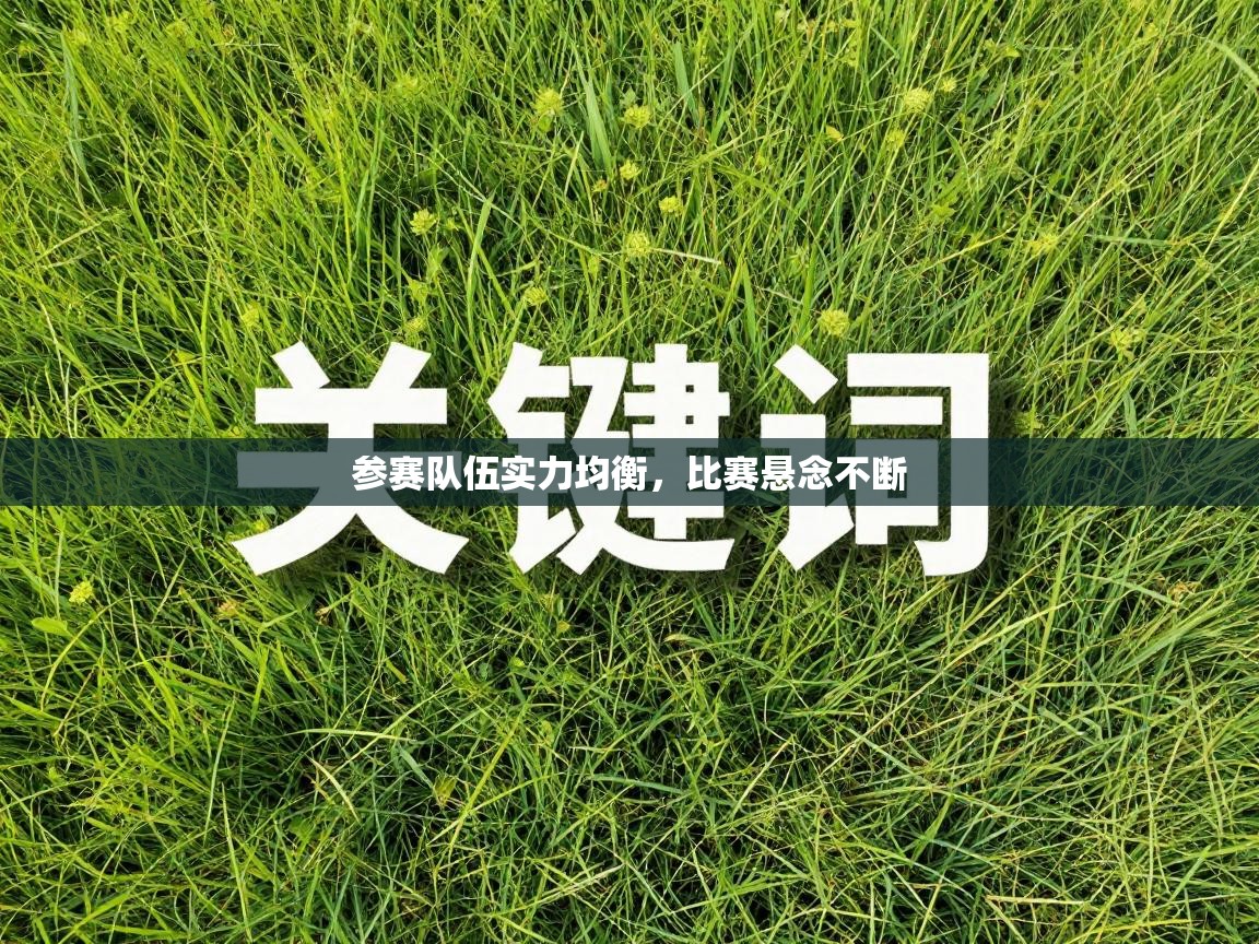 参赛队伍实力均衡，比赛悬念不断  第2张